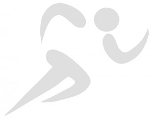 Hitrost delovanja - WordPress