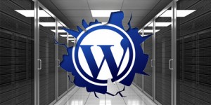 WordPress gostovanje